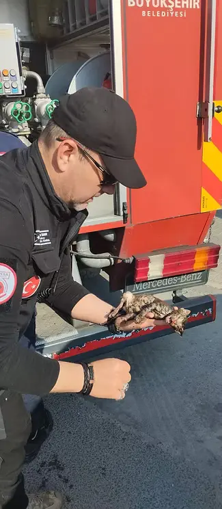 Operasyon Fotoğrafı